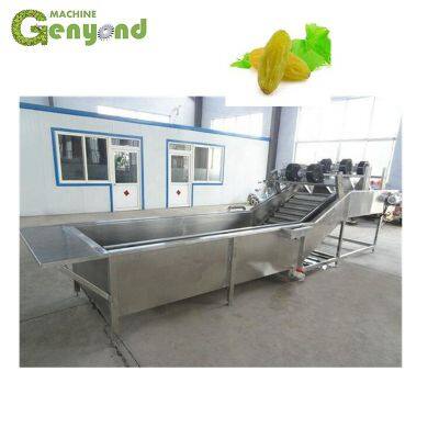 Linha de Lavagem e Secagem de Uvas Passas