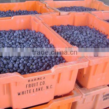 blueberry grading/sorter machine/sorting machine/classifying machine/processing machine