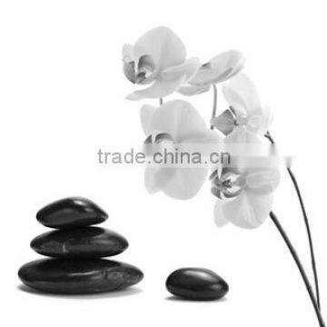 black and white themed canvas painting prints flower stretched canvas decor