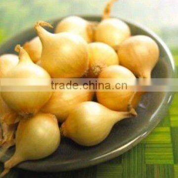 fresh chinese shallot