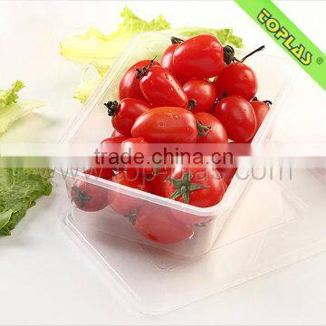 Easy Open Plastic Container Fruit Box Food Containers