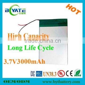 Rechargeable high capacity lithium polymer battery