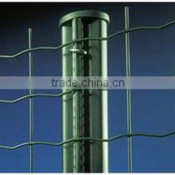 High Quality Holland Fence Manufacturer/Holland Wire Mesh Euro Fencing photo-3