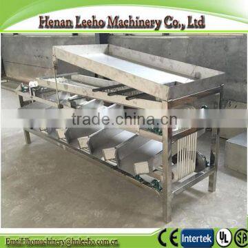 vegetable fruit dates apple melon mango grading processing equipment