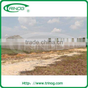 Economical greenhouse film for vegetable