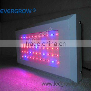 120W efficient horticulture led grow lamp EG-55*3W-LG1-SXB