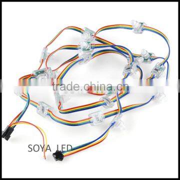 ws2801 IC 12mm Diffused Flat Digital RGB LED Pixels light string
