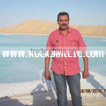 Road Salt for Melting Snow Ready to USA 98-99% NaCl With Low Moisture photo-4