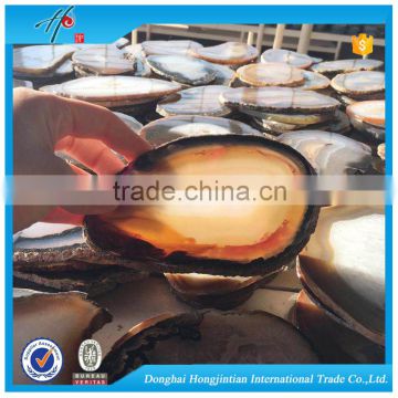 HJT wholesale large blue lace agate slabs