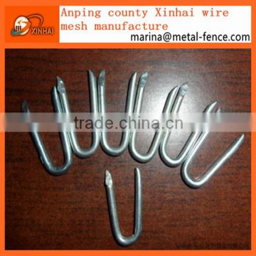 Hot-dipped galvanized fence staples / U-Nails/ U Type Nails