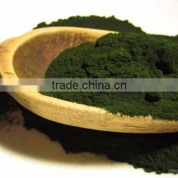 Spirulina Powder for Sale