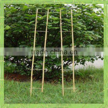 Bamboo ladder