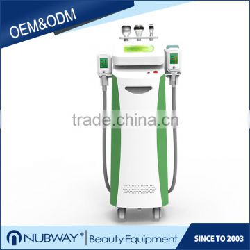 Most popular multifunctional 5 handles 1800W fat freeze cryolipolyses lipo slim machine