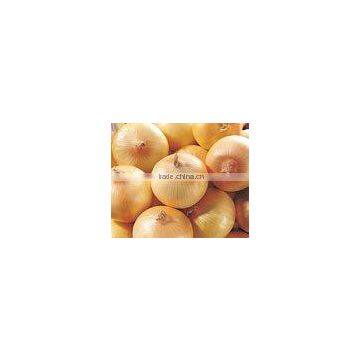 2012 New Crop Yellow Onion