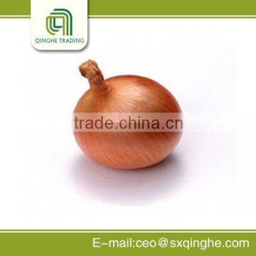 China big yellow onion price 2015