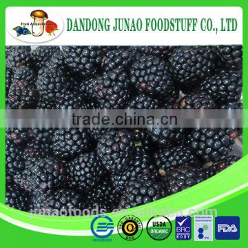 Berries Product Frozen Blackberry Grade A