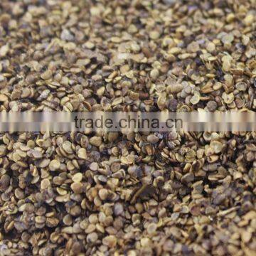Organic Black Goji Berry Seeds photo-2