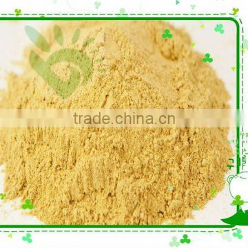 DEHYDRATED GINGER POWDER