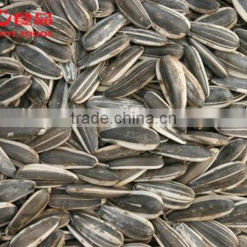 roasted and salted black sunflower seeds