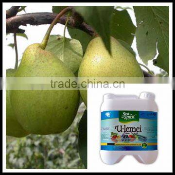 Chitosan bio botanical organic fungicide