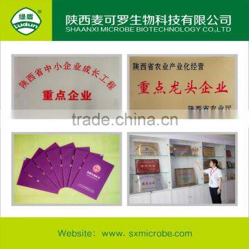 Good Quality Fungicide 60% Validamycin TC photo-6