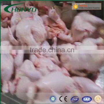 Chicken Processing Plant Machine Chicken Slaughter Machine Slaughering Equipment for Chicken photo-5