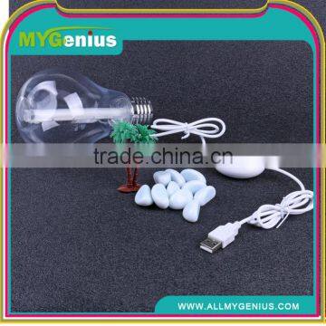 Portable mini usb lamp cool Bulb humidifier