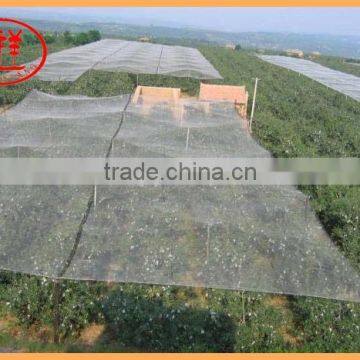 Cheap HDPE orchard hail protection anti hail net