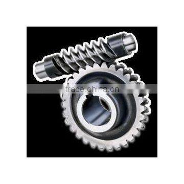 Worm Gear