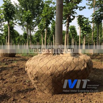 New design tree transplanting with great price