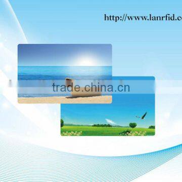 Free sample PVC business cards