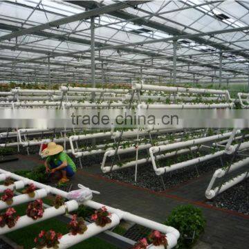 Customber Design Hydroponic System photo-2