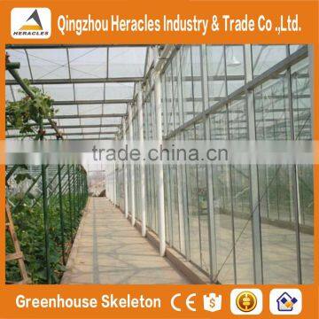 Hot Sale Trade Assurance Factory Price Multi Span Venlo Type Glass Greenhous for Vegetables photo-5