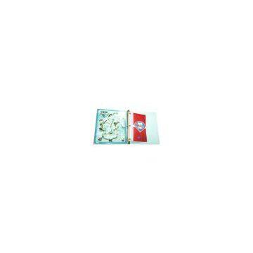 File Folder