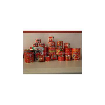 canned tomato paste