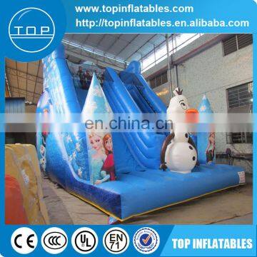 Snow and Ice World Slide,PVC Inflatable Slide photo-2