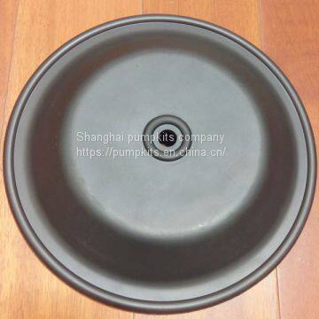 1B003 Diaphragms Parts Fit Blagdon Pumps photo-2