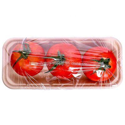 Bagasse food Tray for vegetable 21CM Biodegradable Compostable Rectangle Sugarcane Pulp