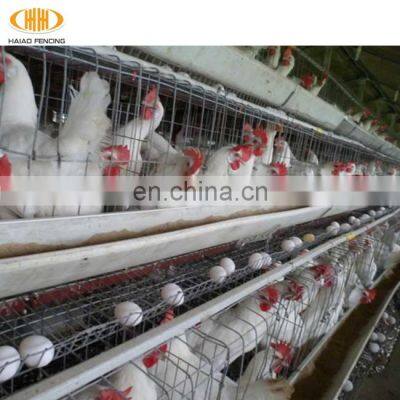 Multi-tiers chicken poultry farm battery chicken layer cage sale for pakistan farm