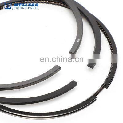 VT365 Engine Parts Wellfar Piston Rings Set 114mm For Navistar Engine photo-2