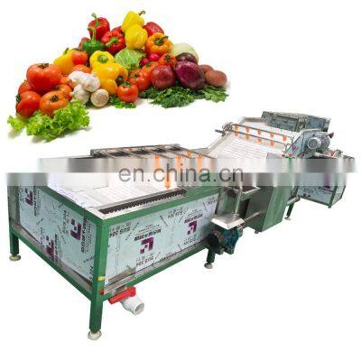 Industrial Fresh Vegetable Fruits Cleaning Drying Processing Machinery Dry Dates Washing Machine