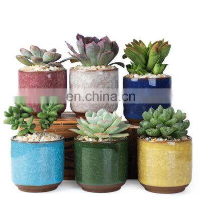 In Stock Planter Cheap Potted Bulk Fiberglass Plants Flowers Decor Ceramic Flower Pots Luxury