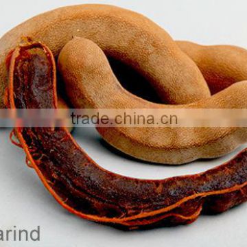 Tamarind