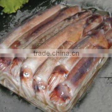 WR Frozen Illex Squid - Whole, Tube, Rings and Tentacles photo-3
