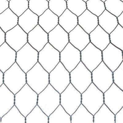 High Strength Galvanized Gabion Box Wire Mesh Stone Cage for Coastal Protection and Water Conservancy Projects