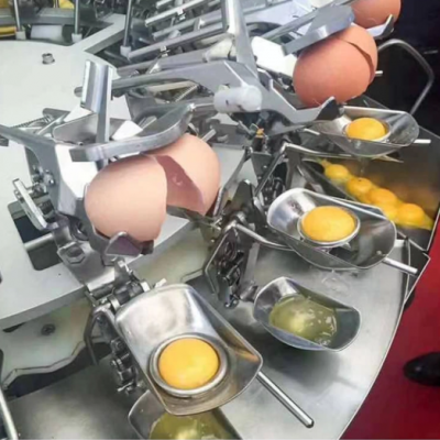 Egg Yolk Powder Processing Line