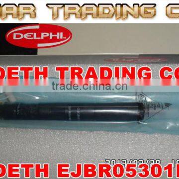 Common rail injector EJBR05301D for YUCHAI FS0001112100011