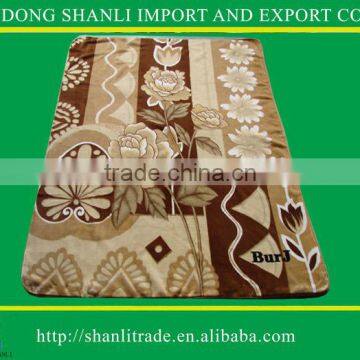 1Ply Printed Raschel Blanket/Korean Mink Blanket