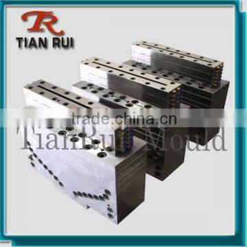 Door Panel Extrusion Mould photo-5