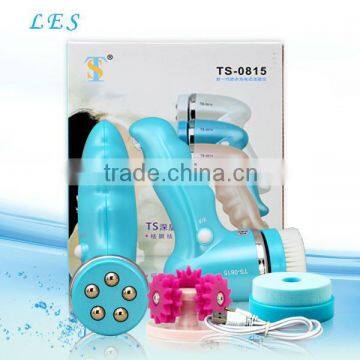 Rechargeable electronic skin cleansing system